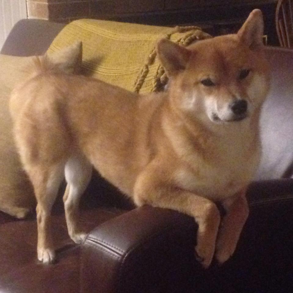 英超“绝杀大戏”：绝妙配合与逆转瞬间回顾