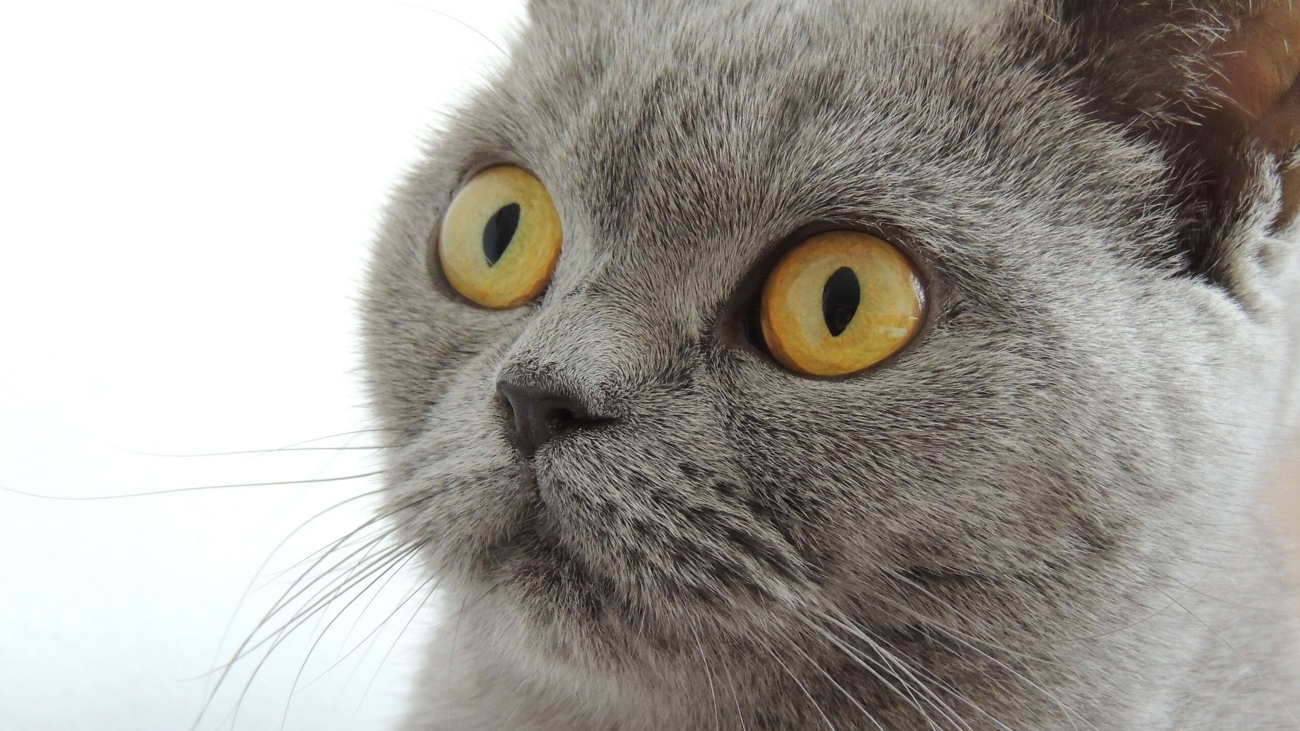 开云体育娱乐-“台球激斗：天府校区体育馆成顶级竞技平台”