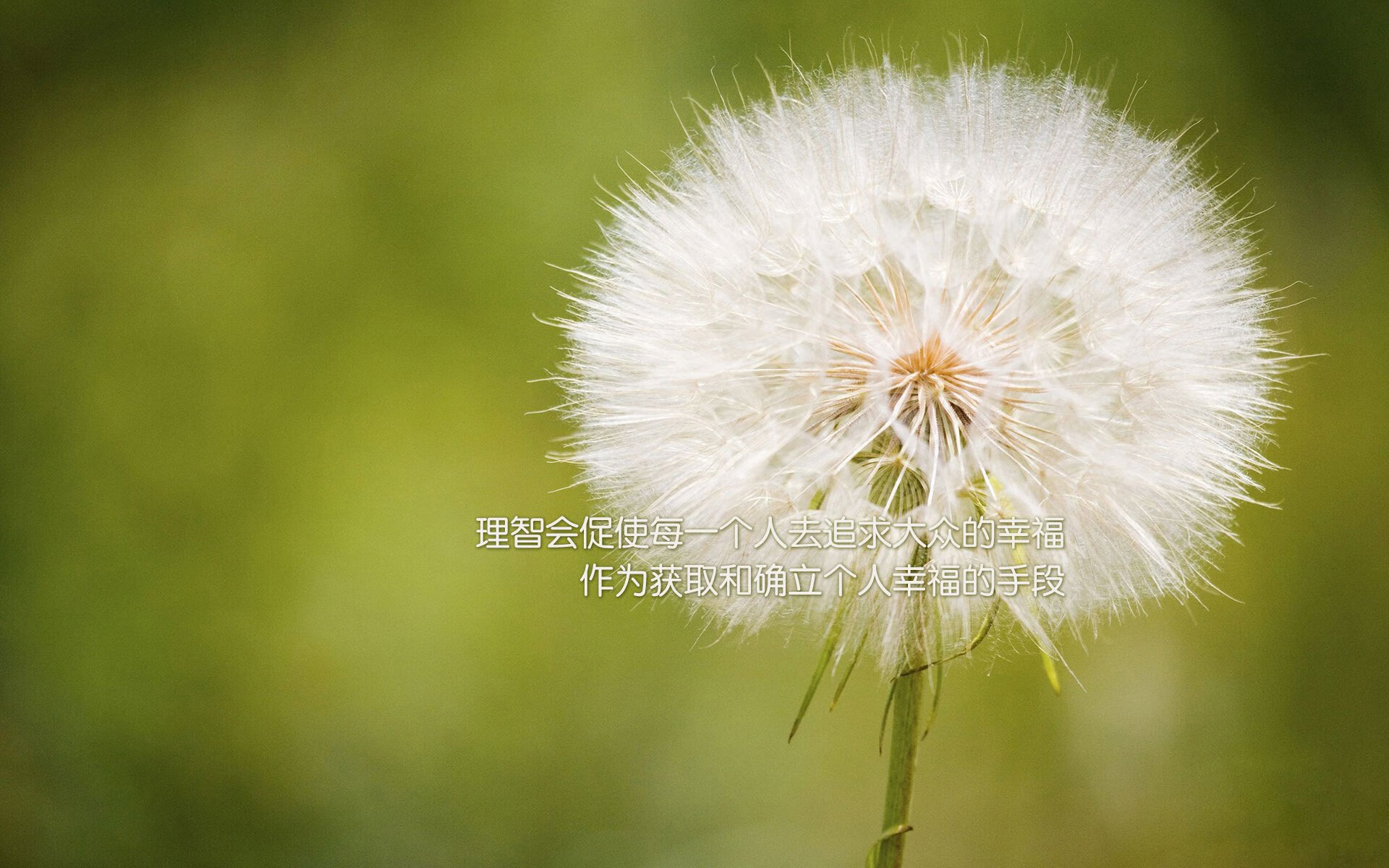 利物浦边锋突破频繁成为比赛关键点,利物浦的阵型2020