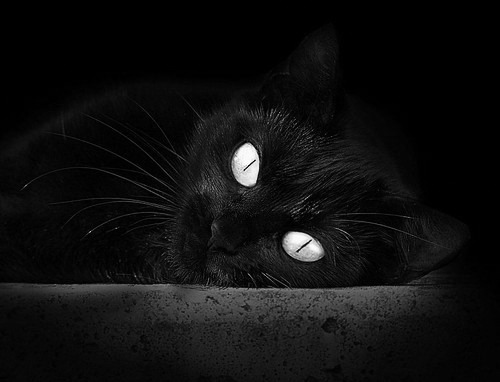 印度队2024年世界杯：敢于挑战世界强队的勇气，印度世界杯退赛