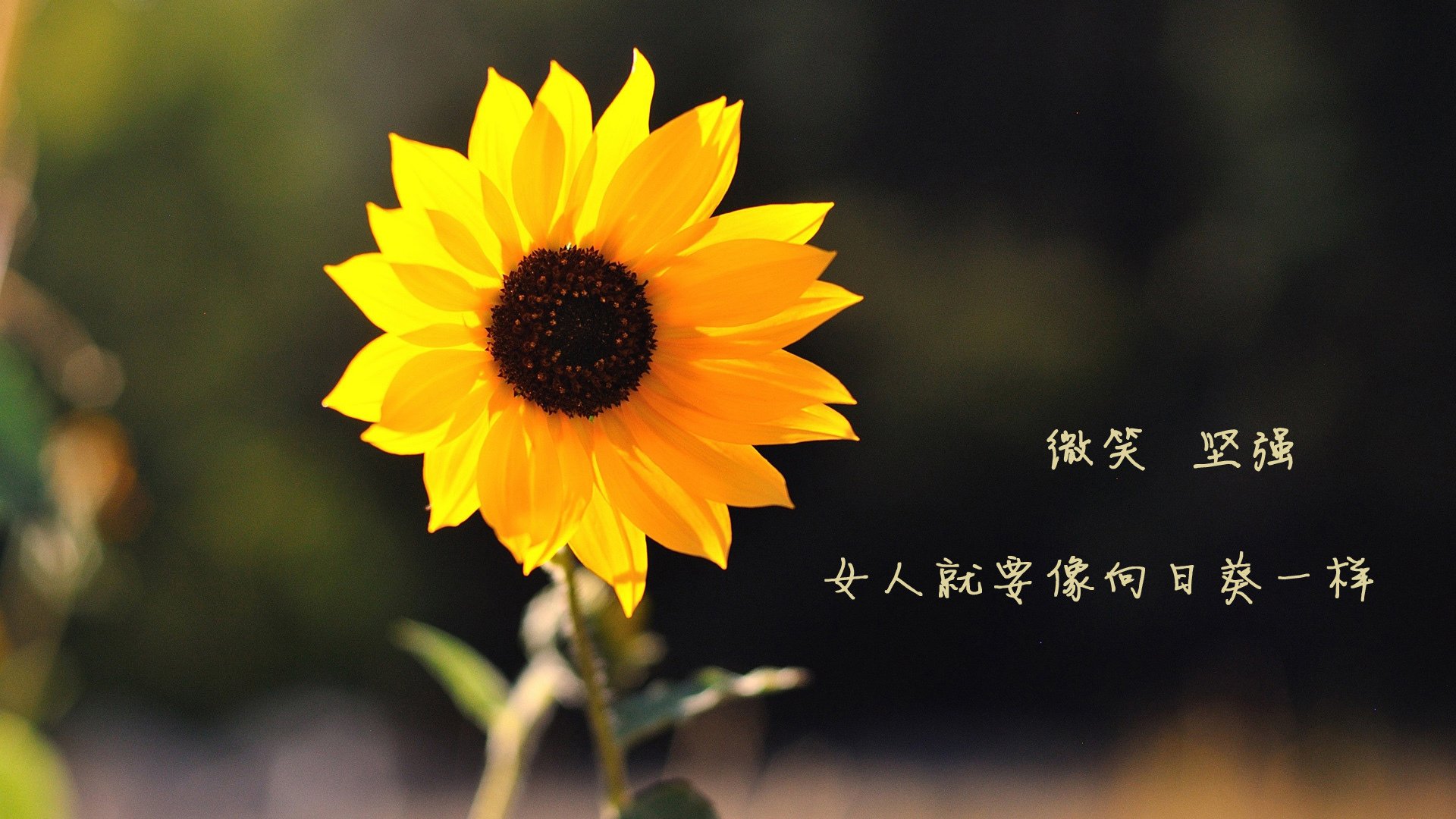 足球训练方法因人施教更注重个体差异，足球训练中有效的指导程序