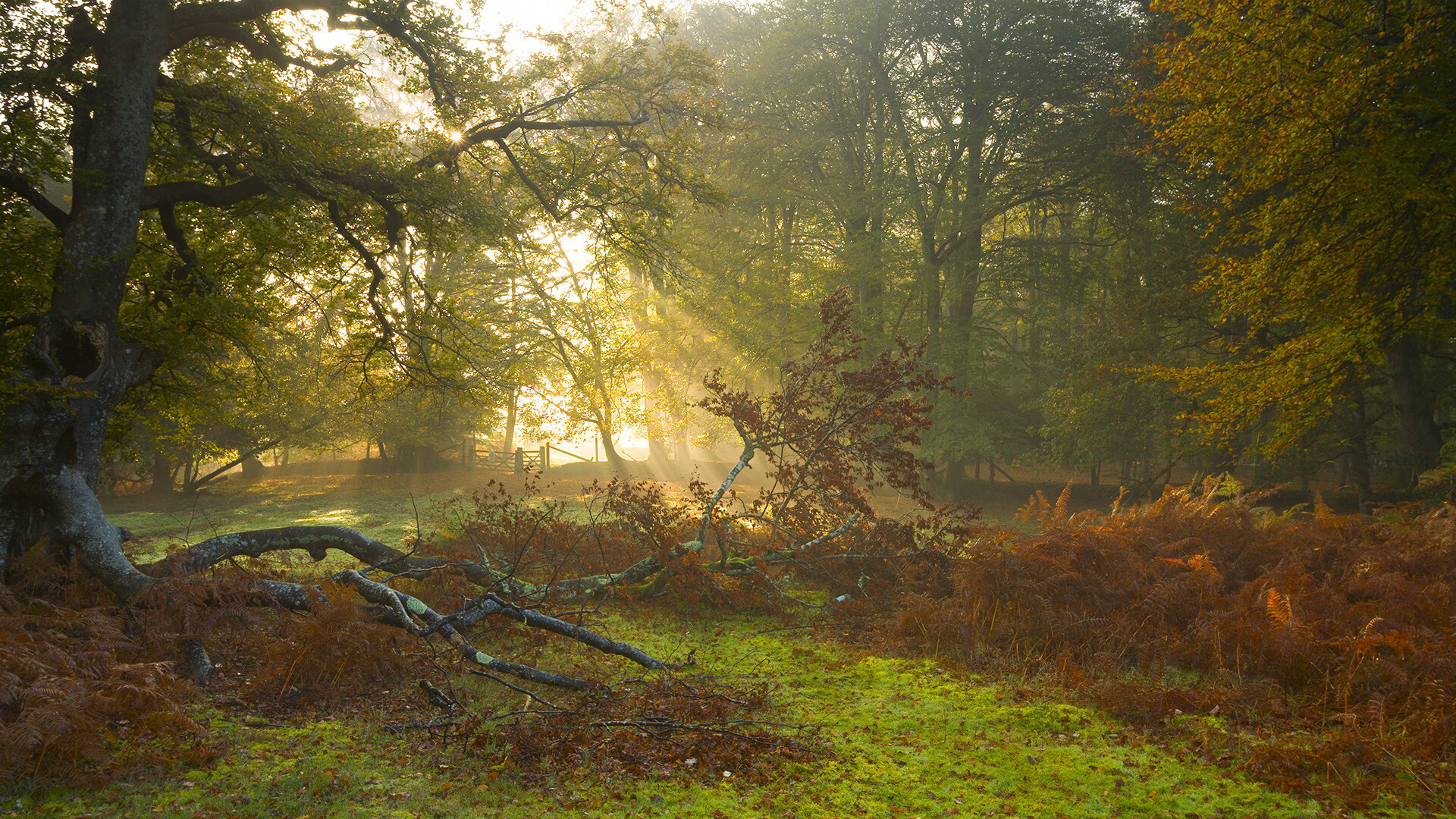 “马科斯·莫奇的传球与防守结合，推动阿根廷美洲狮队实现攻守兼备”