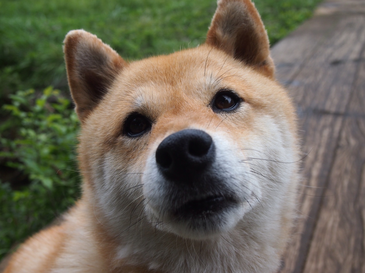 开云体育官网-中国足球俱乐部赛事运营数字化转型，中国足球职业俱乐部的发展