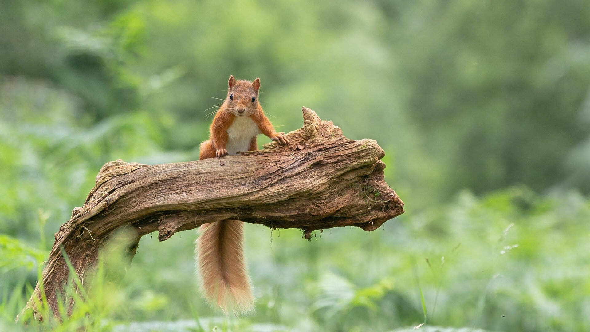 中国足球国家队重启全国范围内战术风格比对,看一下中国国家足球队对战的情况