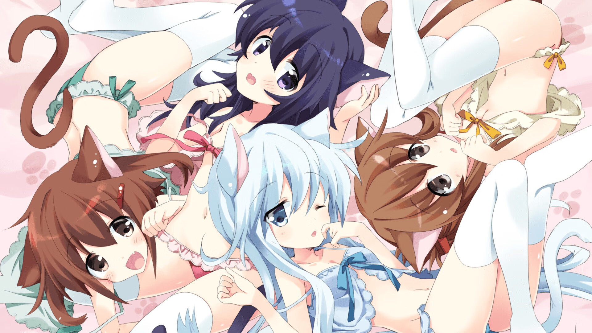 体育文化交流活动盛大举行，体育文化促进会