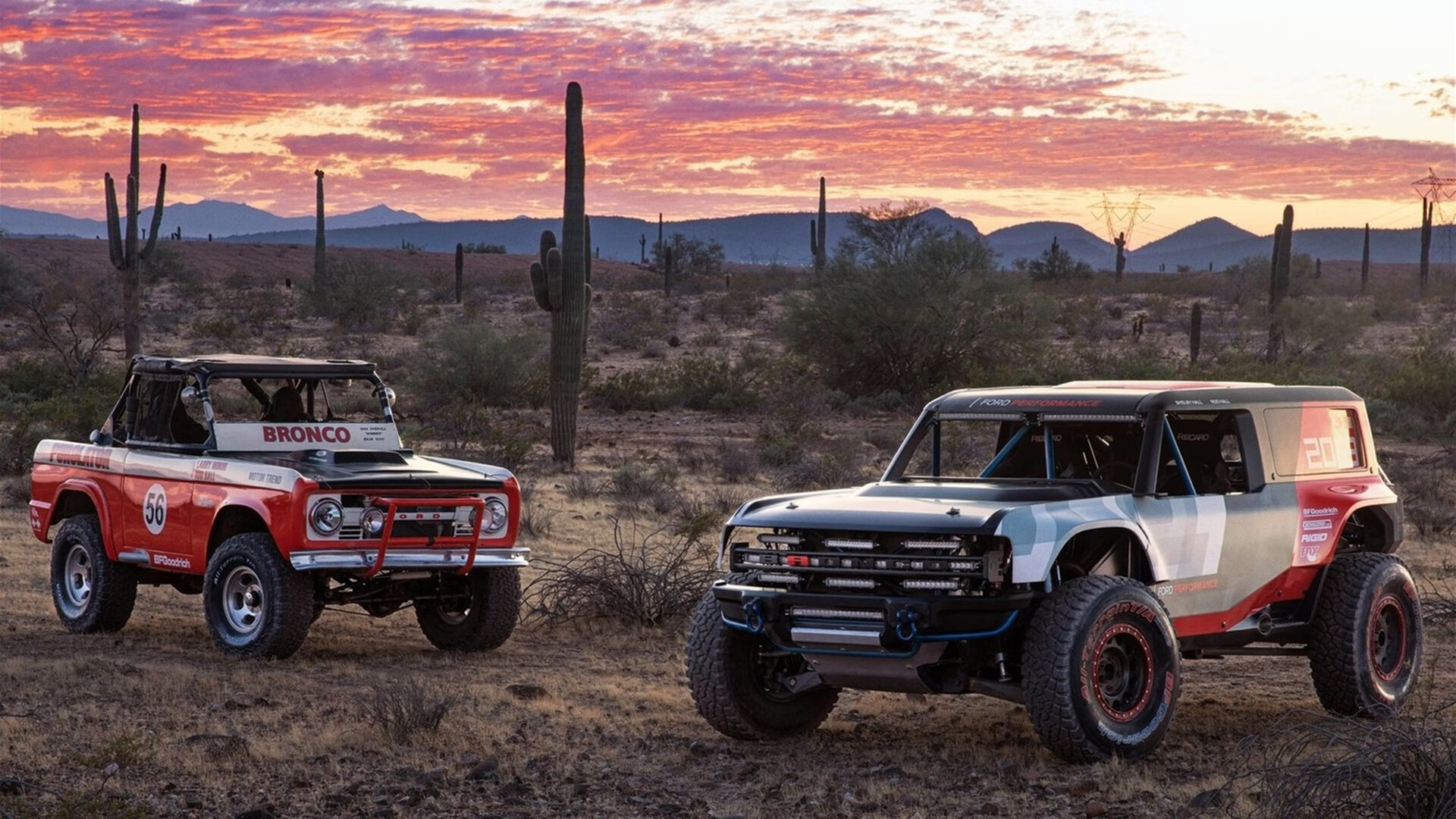 冲刺之王 切拉苏奥洛蛙泳爆发惊艳,切拉瓦洛