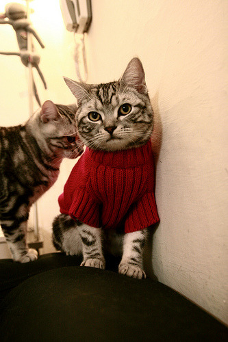 开云ky官网-核心选手经验丰富，比赛发挥稳定，比赛的核心